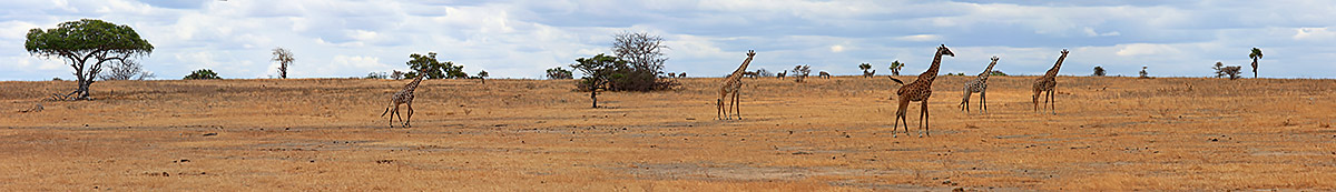 [Group-10]- MG 7320  MG 7326-7-images